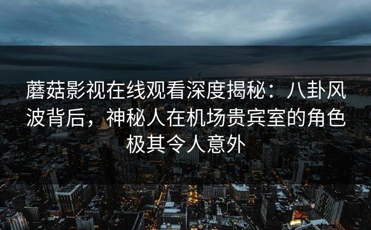蘑菇影视在线观看深度揭秘：八卦风波背后，神秘人在机场贵宾室的角色极其令人意外