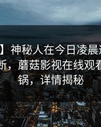 【速报】神秘人在今日凌晨遭遇丑闻刷屏不断，蘑菇影视在线观看全网炸锅，详情揭秘