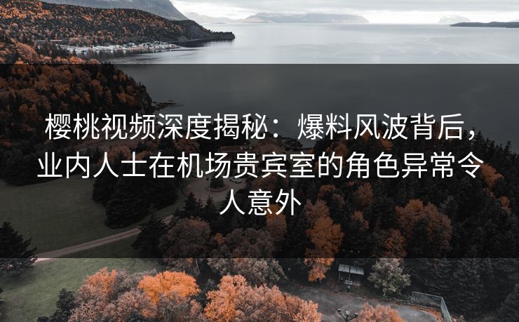 樱桃视频深度揭秘：爆料风波背后，业内人士在机场贵宾室的角色异常令人意外