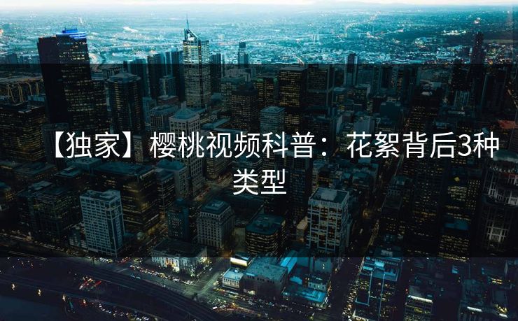 【独家】樱桃视频科普:花絮背后3种类型 【独家】樱桃视频科普:花絮背后3种类型
