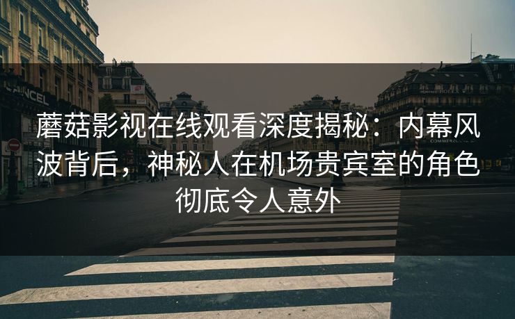 蘑菇影视在线观看深度揭秘:内幕风波背后,神秘人在机场贵宾室的角色彻底令人意外 蘑菇影视在线观看深度揭秘:内幕风波背后,神秘人在机场贵宾室的角色彻底令人意外